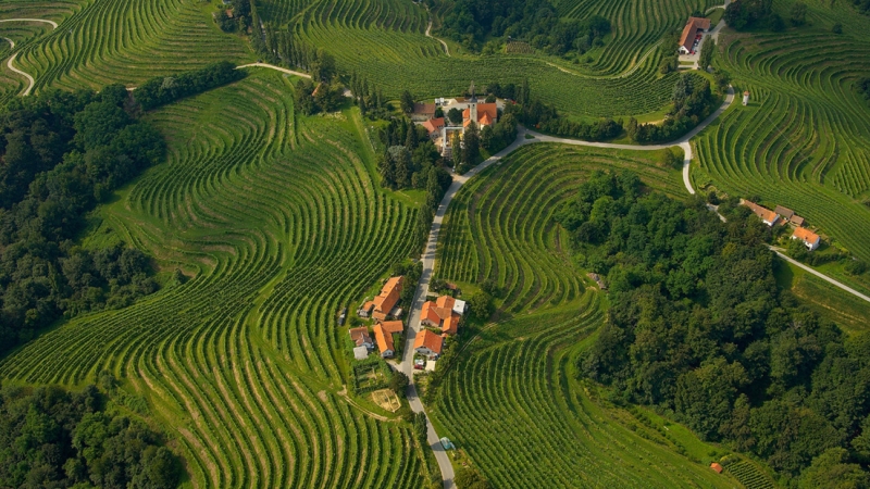 Za Slovenske gorice na voljo 250.000 evrov 
