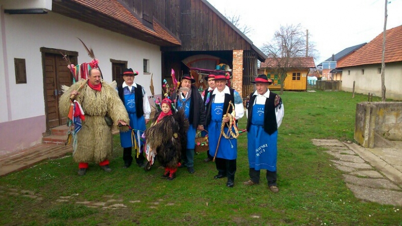 V Dornavi prva brazda, v Markovcih bičev pok