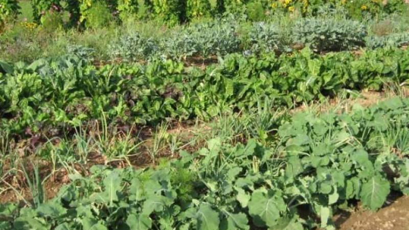  Svojo usodo si pišemo sami !