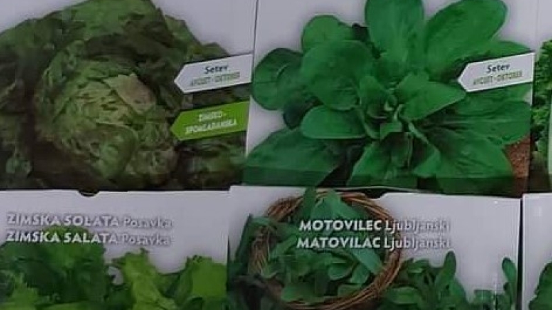 Vrtičkarji, na delo!