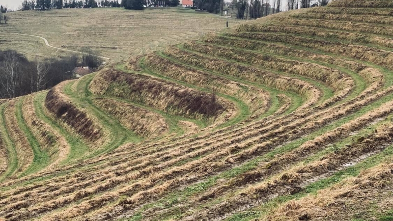 Žalostna podoba znamenitih teras