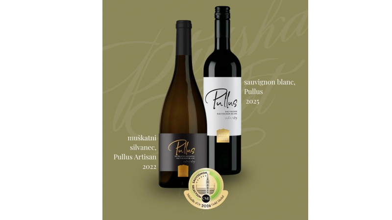 Nova odličja za sauvignon iz Ptujske kleti