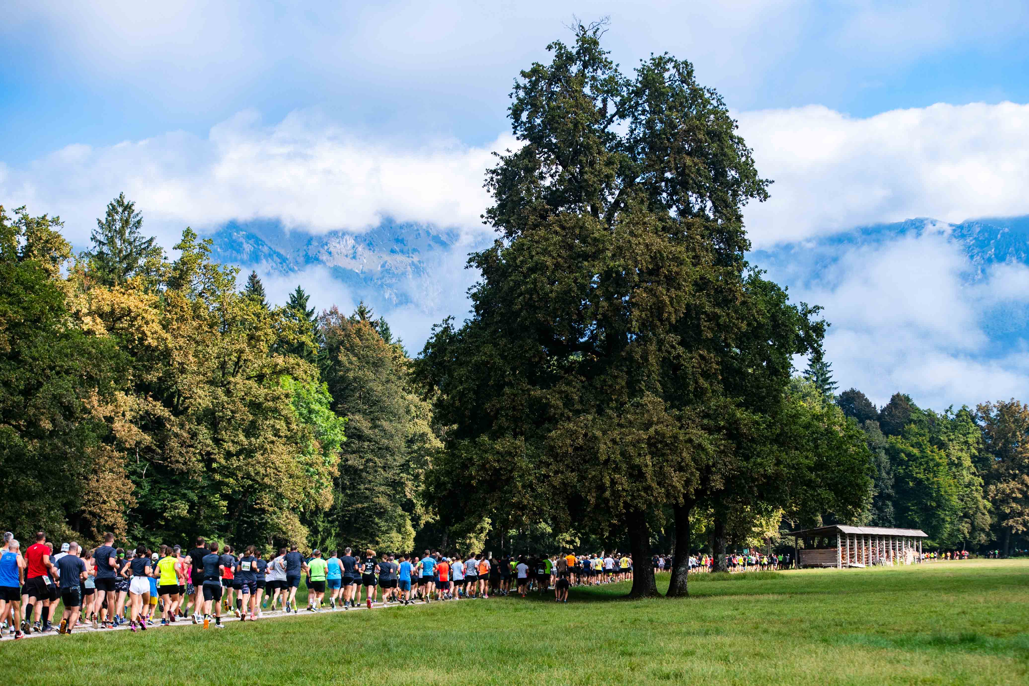 triglav2